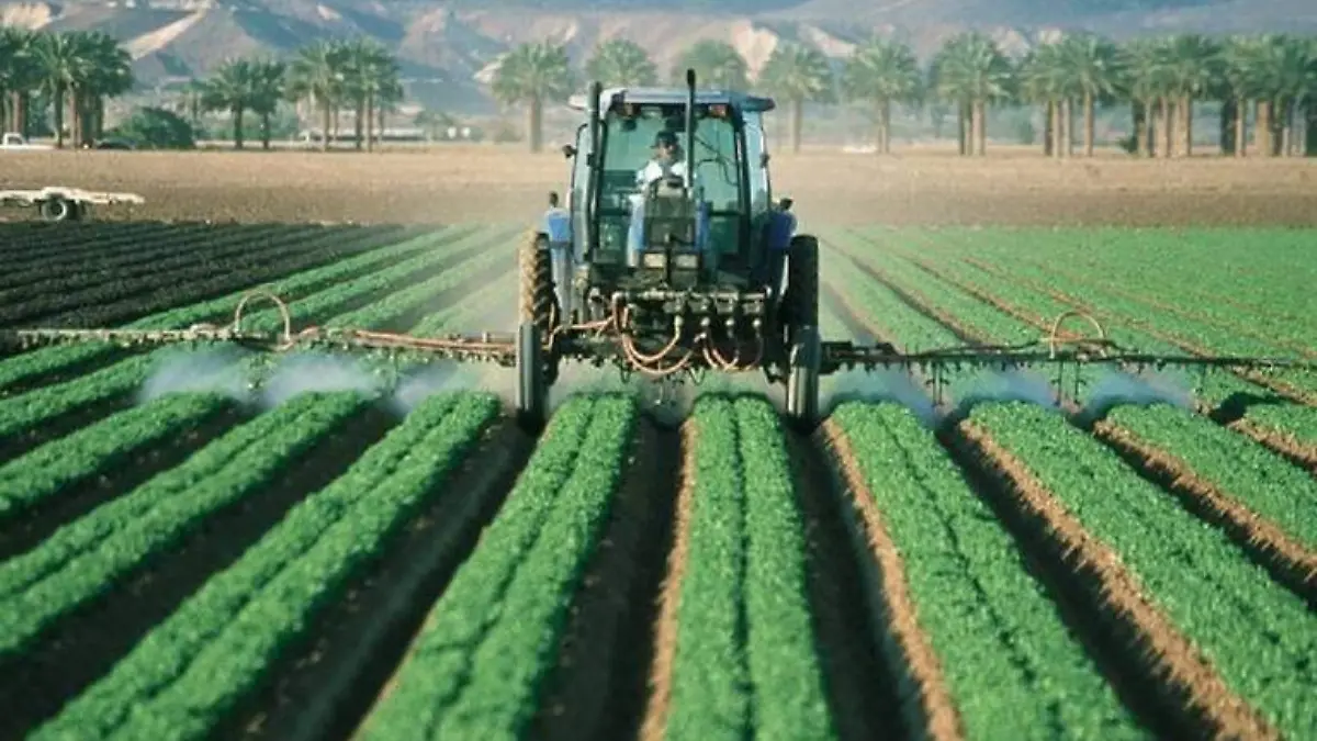 Agricultura Sinaloa 3 archivo sinaloa